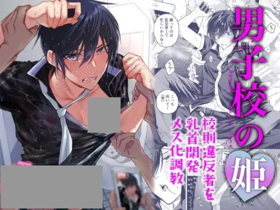 男子校の姫 校則違反者を乳首開発メス化調教