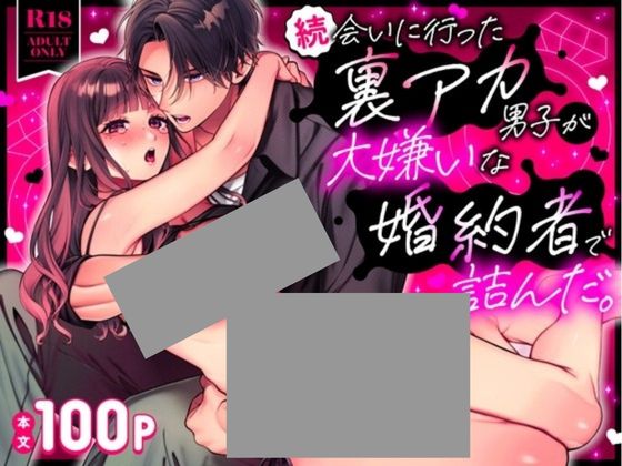 続・会いに行った裏アカ男子が大嫌いな婚約者で詰んだ。